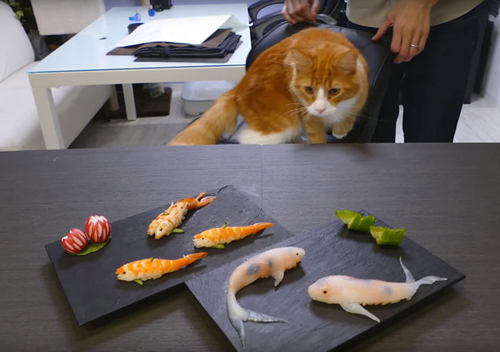 sushi sinh động như cá thật