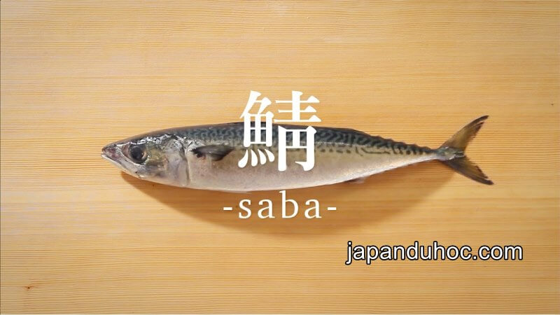 Cá saba Nhật Bản
