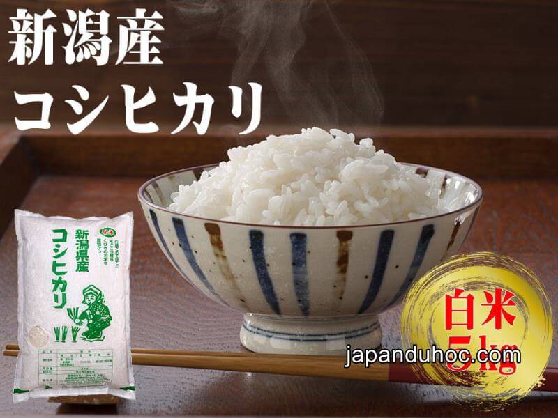 Gạo Kosihikari